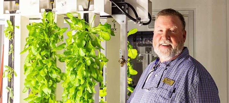 Hydroponics Grow Room Contributes to the Caf and Sustainability