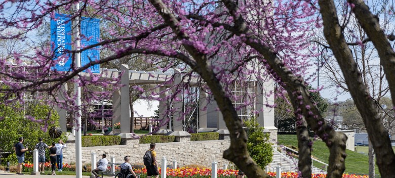 Analytics Student Tops State in Excel Competition