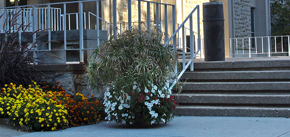 Greenlease Gallery entrance with steps and flowers