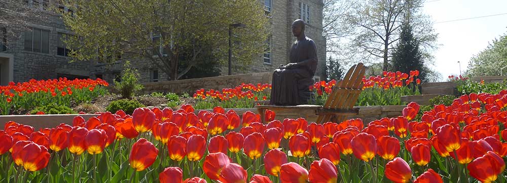 Iggy Statue surrounded by red tulips.