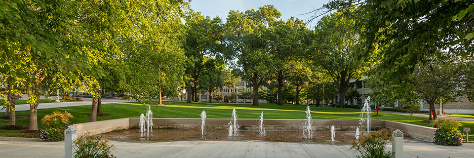 The fountains on RU campus surrounded by trees.