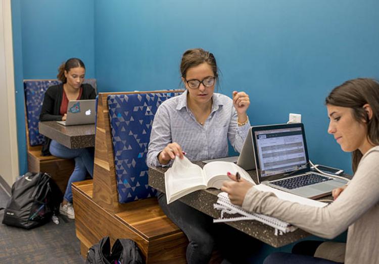 Several students studying in small booths.