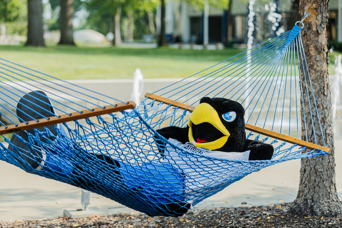 Rock E. Hawk mascot lying in a hammock, hands behind his head