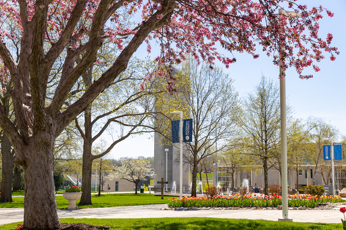 Spring on campus – blossoming tree in foreground; tulips, fountains and the bell tower in the background