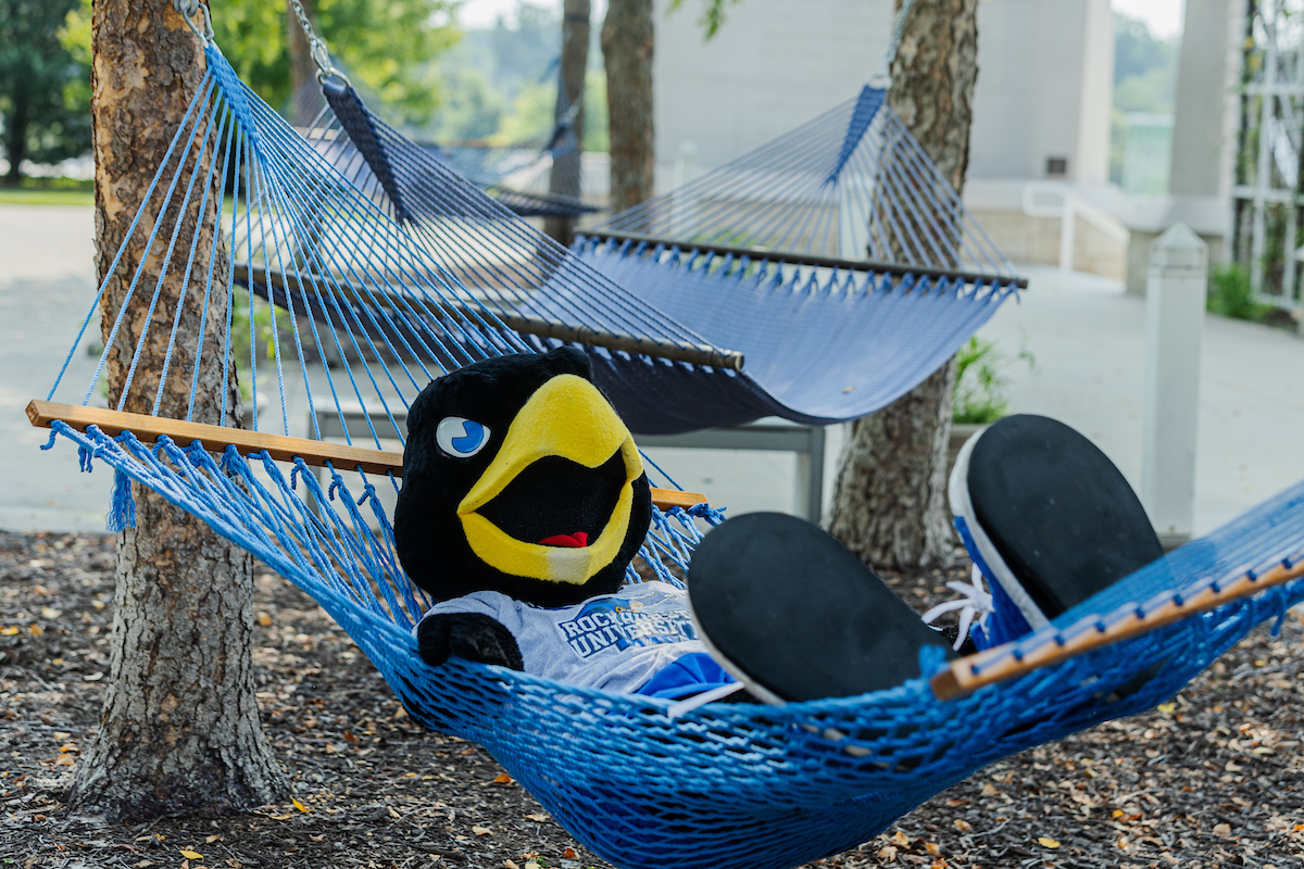 Rockhurst University mascot Rock E Hawk in a hammock