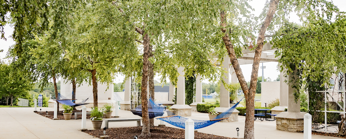 Hammocks hanging from trees