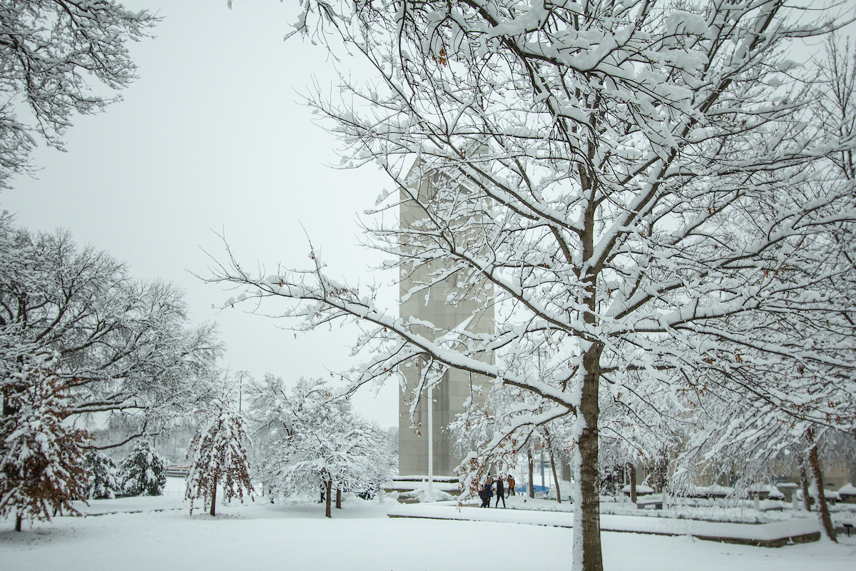 Snow-covered trees with bell tower in background