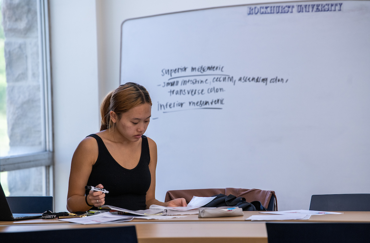 Student studies in the library next to a whiteboard