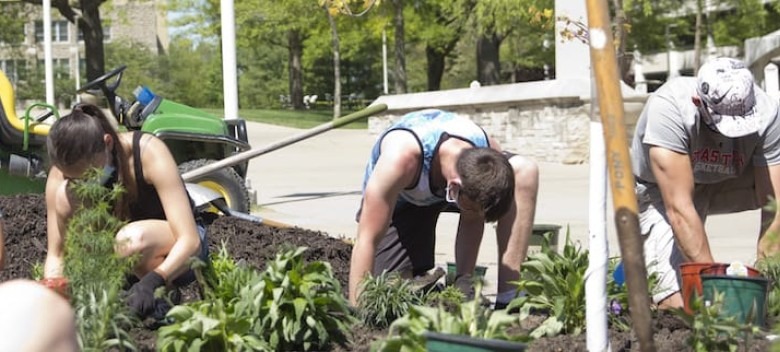 Biology Students, Faculty Plant Pollinator Oasis on Campus