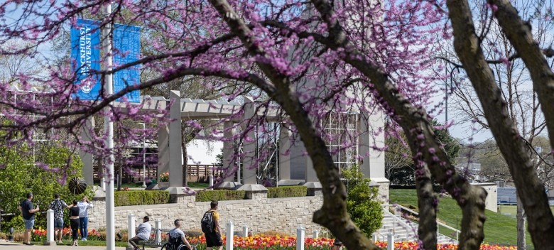 Analytics Student Tops State in Excel Competition