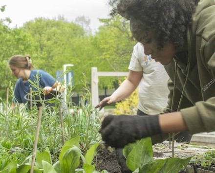  University to Receive Award for Excellence From Missouri Department of Conservation